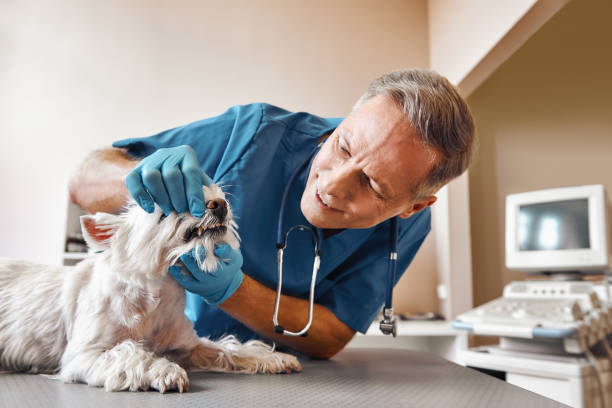 Best Same-Day Emergency Appointments in Langley Park, MD